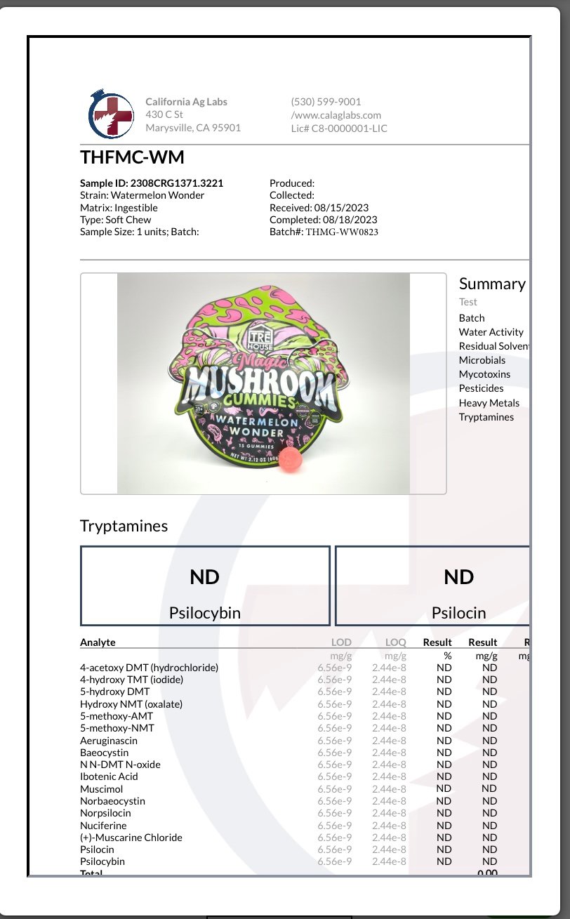 Watermelon Wonder Tre House Magic Mushroom Gummies 2 Watermelon Wonder Tre House Magic Mushroom Gummies - Image 2
