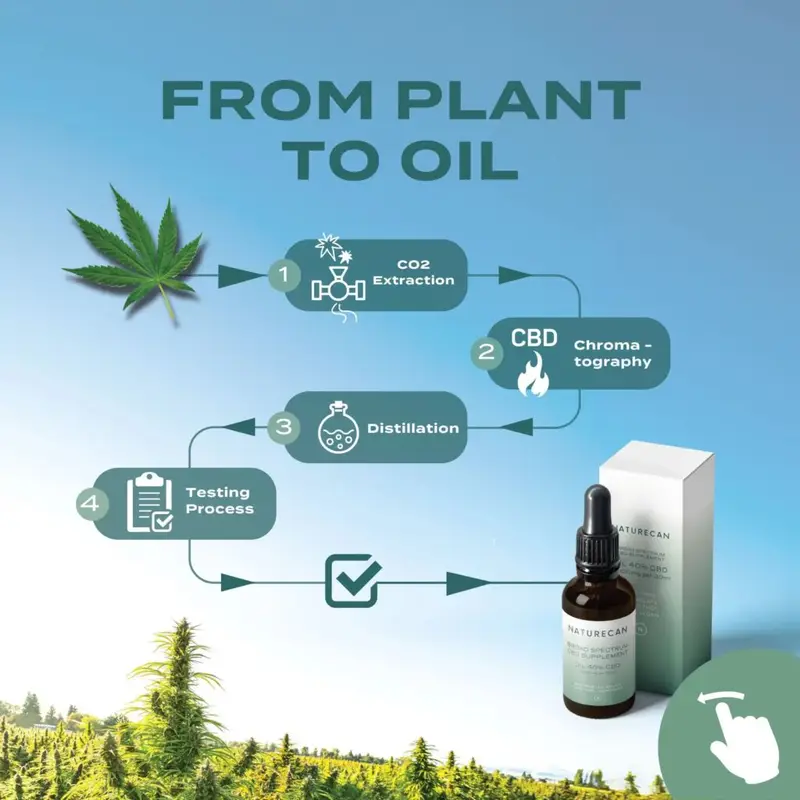20% CBD Oil 3 20% CBD Oil - Image 3