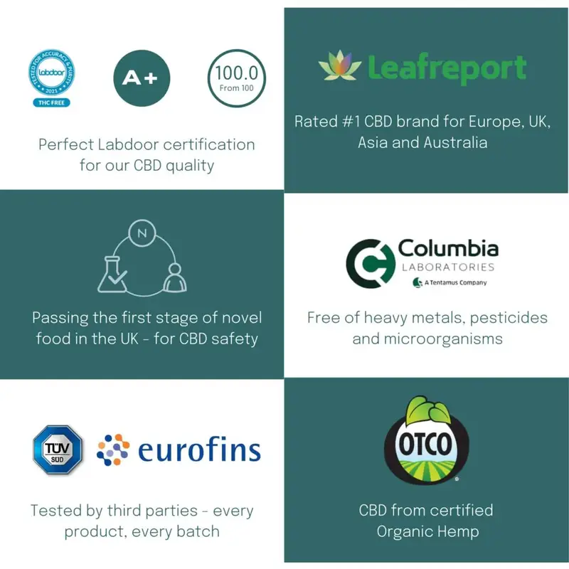 20% CBD Oil 7 20% CBD Oil - Image 7