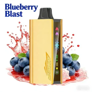 Blueberry Blast – JNR CRUISER 12000 PUFFS